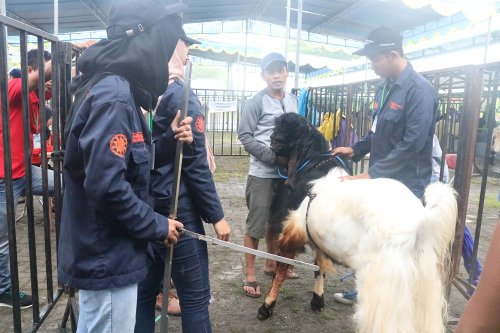 Konten Berita